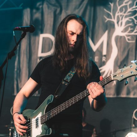 BRAINBRIDGE FESTIVAL 2026 - Donnerstag