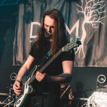 BRAINBRIDGE FESTIVAL 2026 - Donnerstag