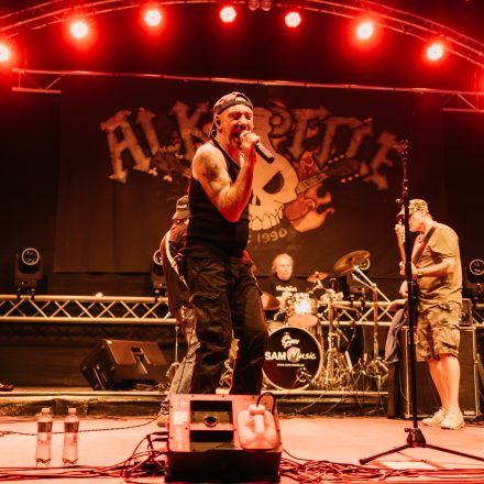 BRAINBRIDGE FESTIVAL 2026 - Donnerstag