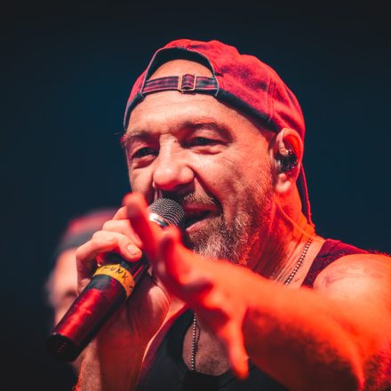 BRAINBRIDGE FESTIVAL 2026 - Donnerstag