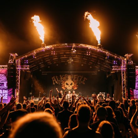 BRAINBRIDGE FESTIVAL 2026 - Donnerstag