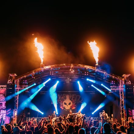 BRAINBRIDGE FESTIVAL 2026 - Donnerstag