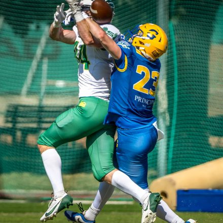 AFL Graz Giants vs Salzburg Ducks (70:19)