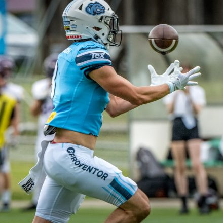 AFL DIV 1 SILVER BOWL | PROVENTOR STYRIAN BEARS vs. AFC Vienna Vikings II (49:7)