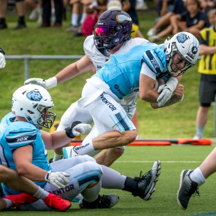 AFL DIV 1 SILVER BOWL | PROVENTOR STYRIAN BEARS vs. AFC Vienna Vikings II (49:7)