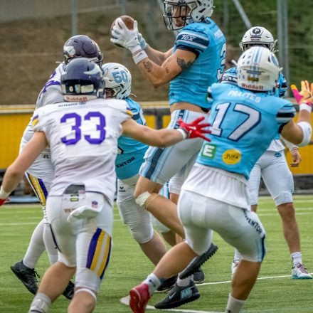 AFL DIV 1 SILVER BOWL | PROVENTOR STYRIAN BEARS vs. AFC Vienna Vikings II (49:7)
