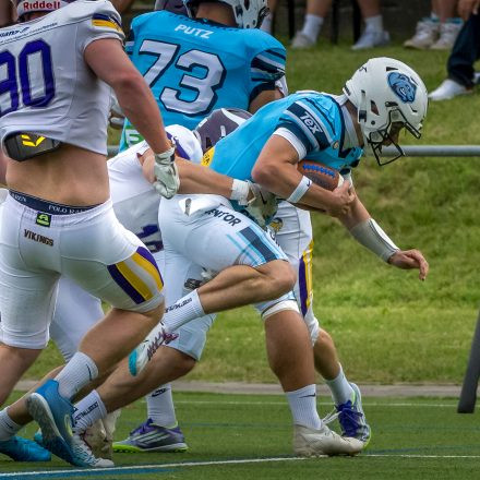 AFL DIV 1 SILVER BOWL | PROVENTOR STYRIAN BEARS vs. AFC Vienna Vikings II (49:7)