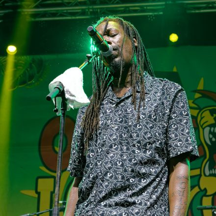One Love Reggae Festival 2026