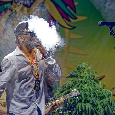 One Love Reggae Festival 2026
