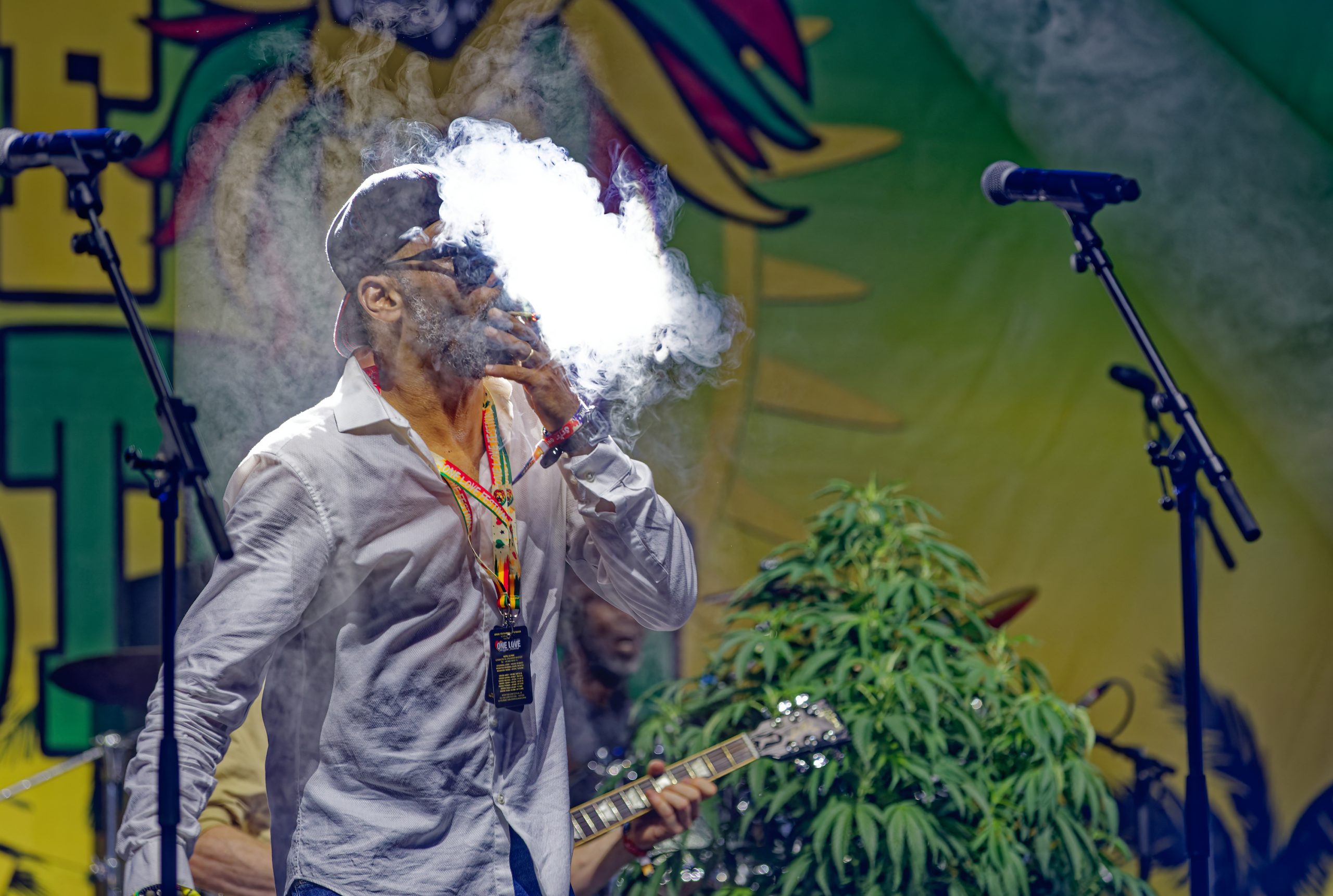 One Love Reggae Festival 2026