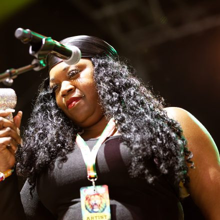 One Love Reggae Festival 2026