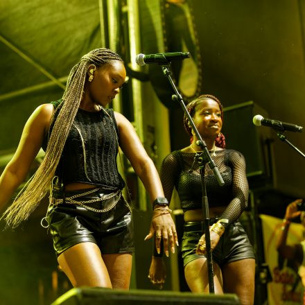 One Love Reggae Festival 2026