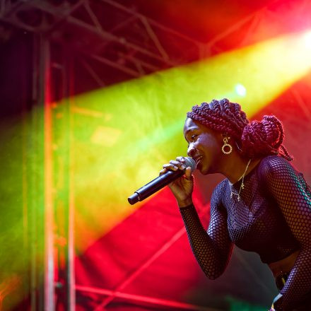 One Love Reggae Festival 2026