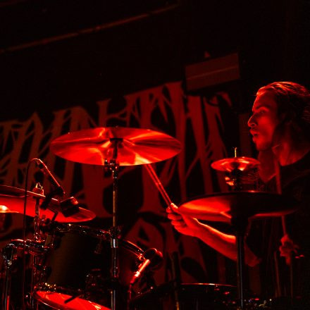 Northlane