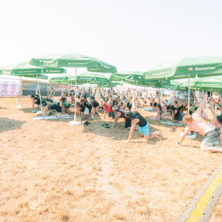 BRAINBRIDGE FESTIVAL 2026 - Freitag