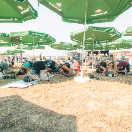 BRAINBRIDGE FESTIVAL 2026 - Freitag