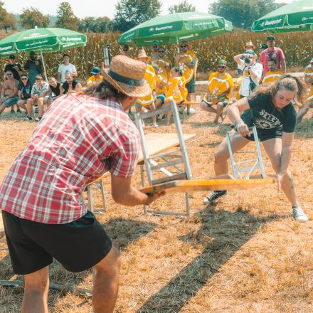 BRAINBRIDGE FESTIVAL 2026 - Freitag