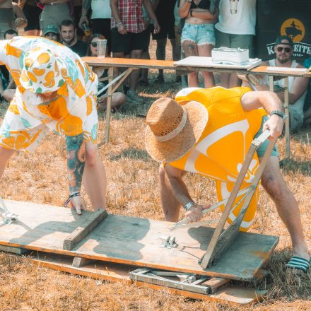 BRAINBRIDGE FESTIVAL 2026 - Freitag