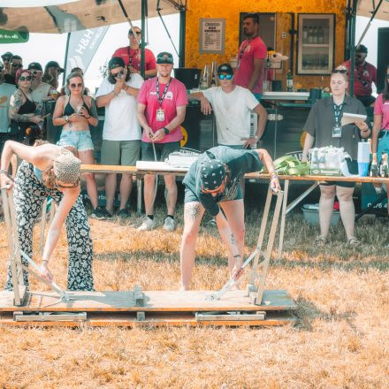 BRAINBRIDGE FESTIVAL 2026 - Freitag