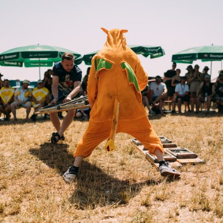 BRAINBRIDGE FESTIVAL 2026 - Freitag