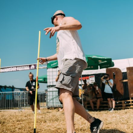 BRAINBRIDGE FESTIVAL 2026 - Freitag
