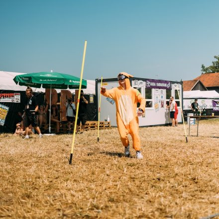 BRAINBRIDGE FESTIVAL 2026 - Freitag