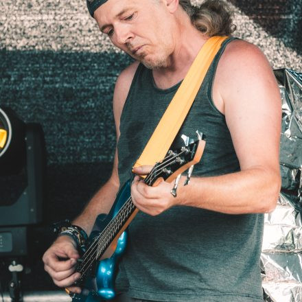 BRAINBRIDGE FESTIVAL 2026 - Freitag