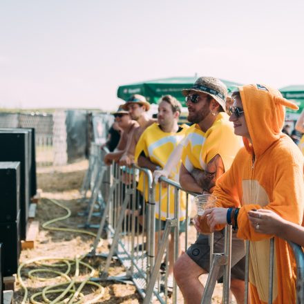BRAINBRIDGE FESTIVAL 2026 - Freitag