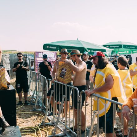 BRAINBRIDGE FESTIVAL 2026 - Freitag