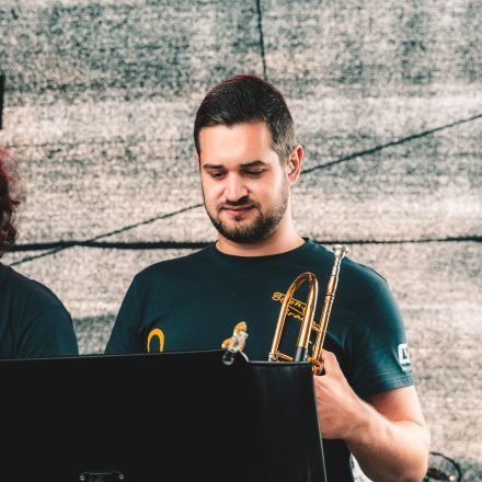 BRAINBRIDGE FESTIVAL 2026 - Samstag