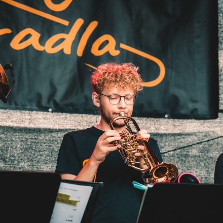 BRAINBRIDGE FESTIVAL 2026 - Samstag