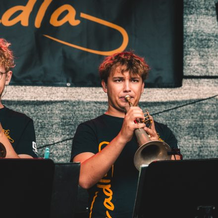 BRAINBRIDGE FESTIVAL 2026 - Samstag