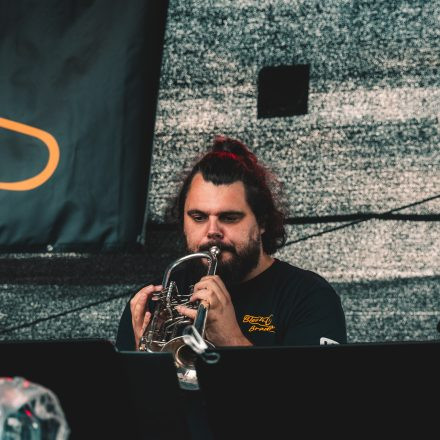 BRAINBRIDGE FESTIVAL 2026 - Samstag