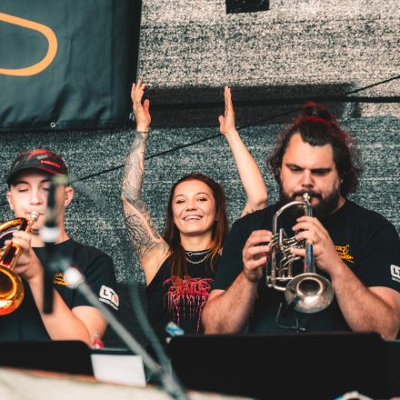 BRAINBRIDGE FESTIVAL 2026 - Samstag