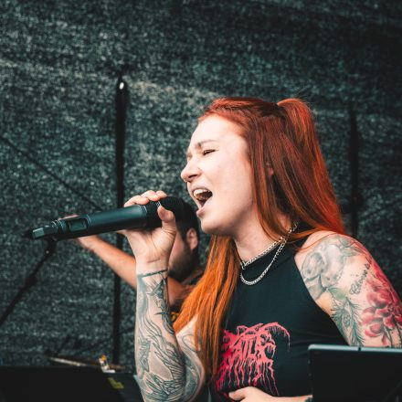 BRAINBRIDGE FESTIVAL 2026 - Samstag