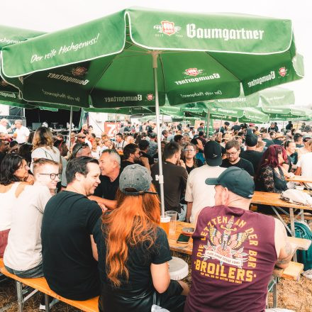 BRAINBRIDGE FESTIVAL 2026 - Samstag