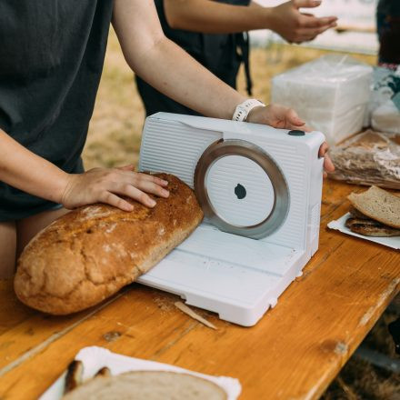 BRAINBRIDGE FESTIVAL 2026 - Samstag