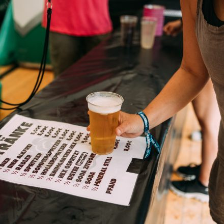 BRAINBRIDGE FESTIVAL 2026 - Samstag