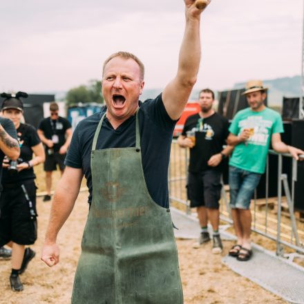 BRAINBRIDGE FESTIVAL 2026 - Samstag