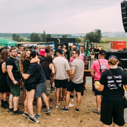 BRAINBRIDGE FESTIVAL 2026 - Samstag