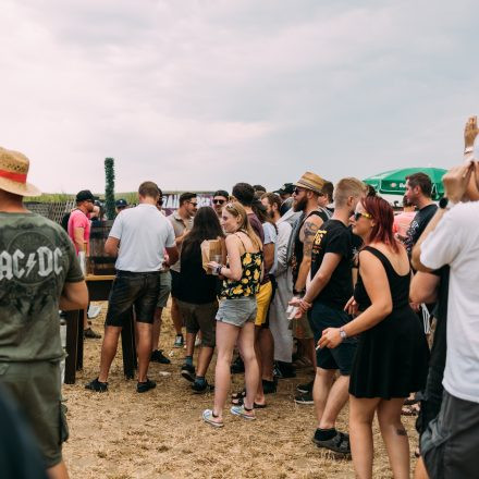 BRAINBRIDGE FESTIVAL 2026 - Samstag