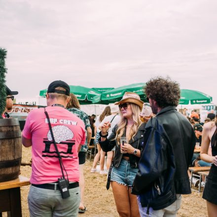 BRAINBRIDGE FESTIVAL 2026 - Samstag