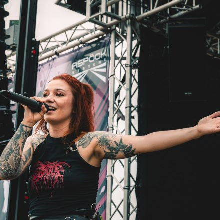 BRAINBRIDGE FESTIVAL 2026 - Samstag