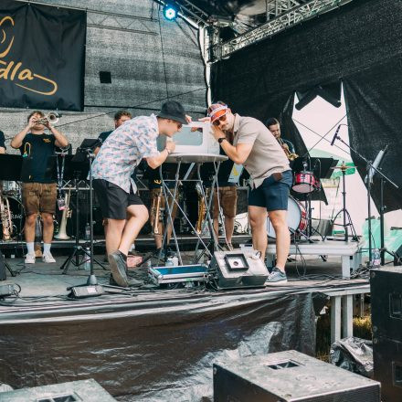 BRAINBRIDGE FESTIVAL 2026 - Samstag