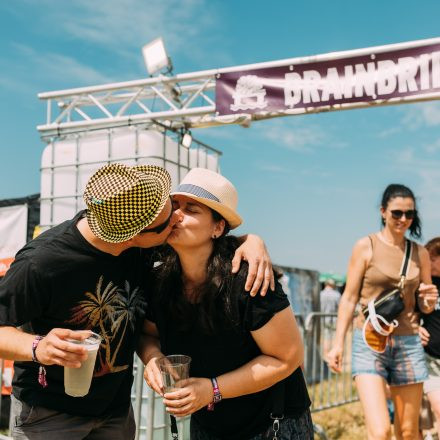 BRAINBRIDGE FESTIVAL 2026 - Samstag