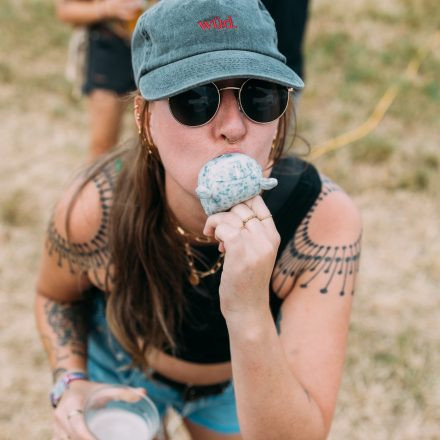 BRAINBRIDGE FESTIVAL 2026 - Samstag