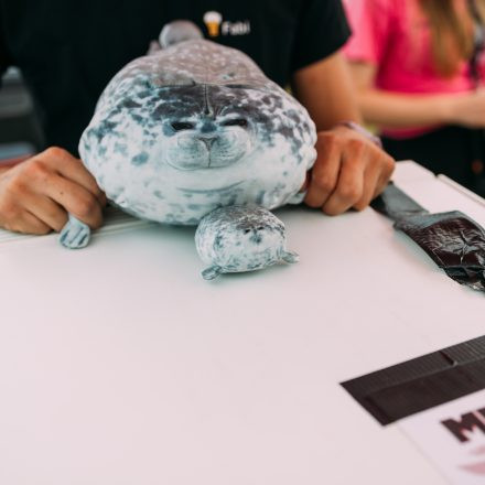 BRAINBRIDGE FESTIVAL 2026 - Samstag