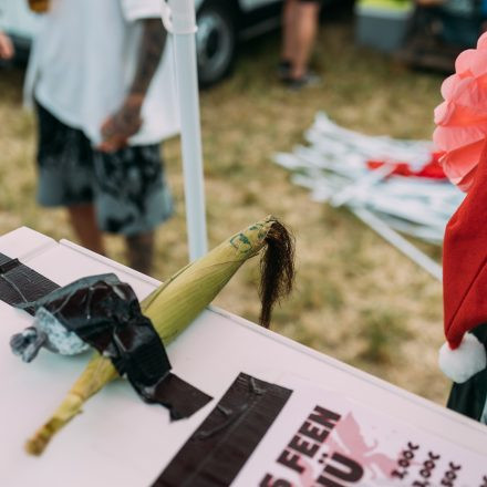 BRAINBRIDGE FESTIVAL 2026 - Samstag