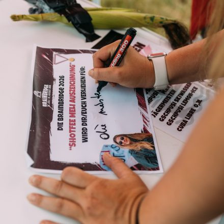BRAINBRIDGE FESTIVAL 2026 - Samstag
