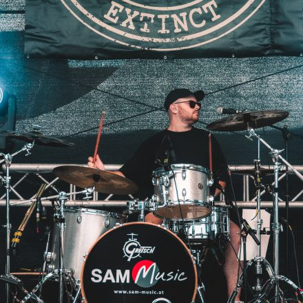 BRAINBRIDGE FESTIVAL 2026 - Samstag